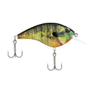 Berkley Frittside HD Jr.