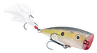 Strike King KVD Splash Popper Clear Ghost Sexy Shad