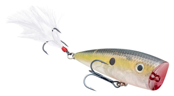 Strike King KVD Splash Popper Clear Ghost Sexy Shad