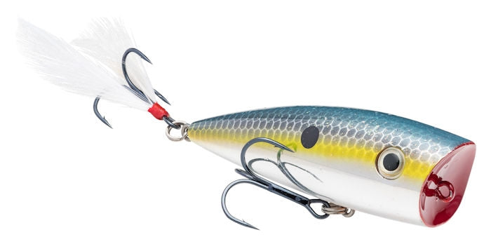 Strike King KVD Splash Popper Chrome Sexy Shad