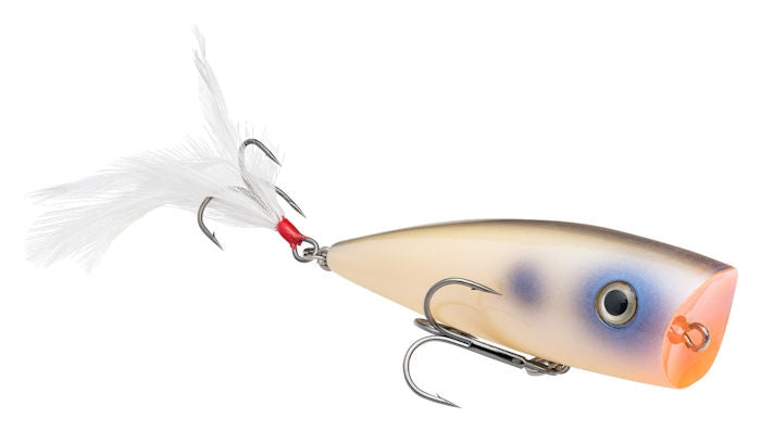 Strike King KVD Splash Popper Oyster