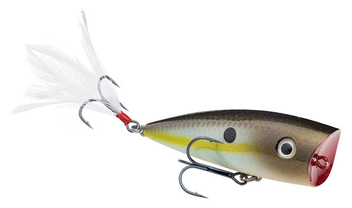 Strike King KVD Splash Popper Summer Sexy Shad