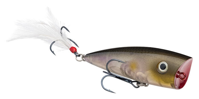 Strike King KVD Splash Popper Clearwater Minnow